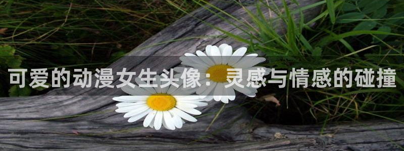 动漫之家在线免费观看