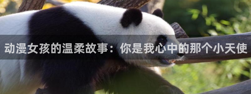 动漫之家登录