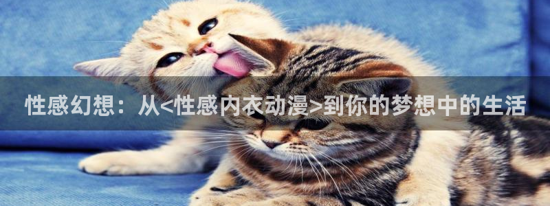 动漫之家在线观看免费