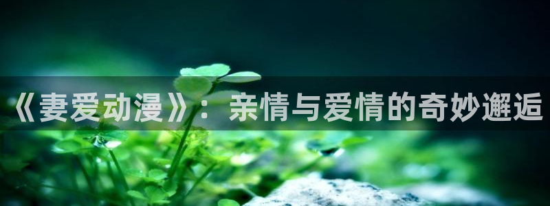 刃牙动漫之家：《妻爱动漫》：亲情与爱情的奇妙邂逅