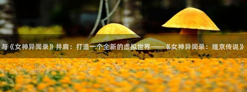 动漫之家 社区版：与《女神异闻录》并肩：打造一个全新的虚拟世界——《女神异闻录：维京传说》