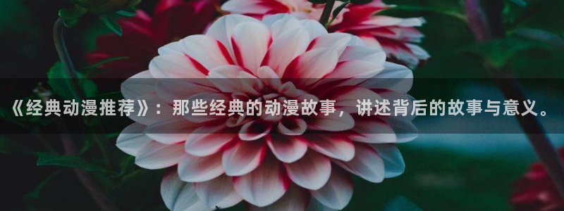 城市猎人动漫之家：《经典动漫推荐》：那些经典的动漫故事，讲述背后的故事与意义。