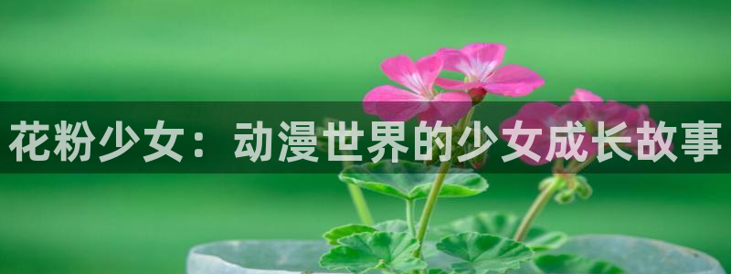 霹雳动漫之家