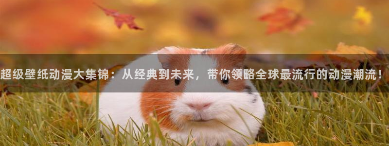 动漫之家 网页