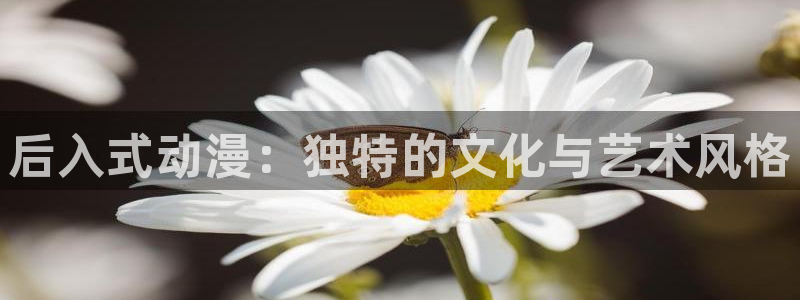 九龙大众浪漫动漫之家