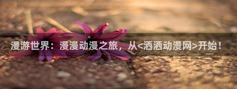 动漫之家一拳超人