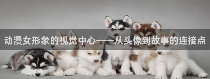 :动漫之家