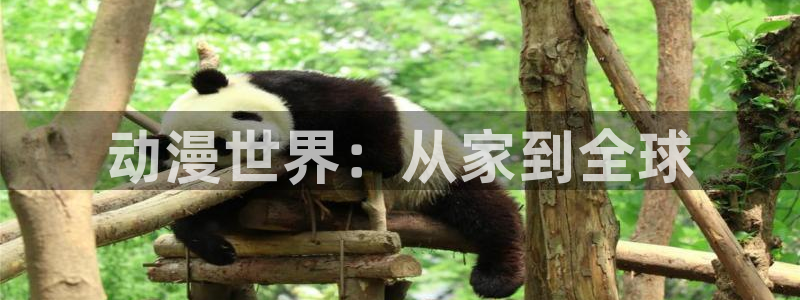动漫之家社区：动漫世界：从家到全球