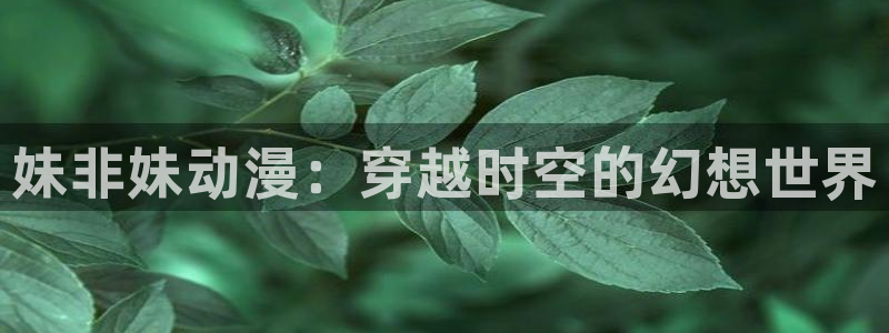 www.动漫之家.com：妹非妹动漫：穿越时空的幻想世界