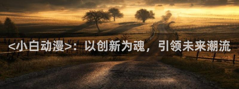 :动漫之家：<小白动漫>：以创新为魂，引领未来潮流