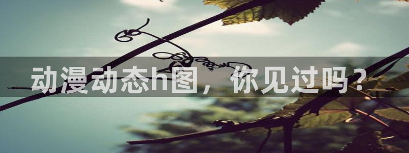 动漫之家最新：动漫动态h图，你见过吗？