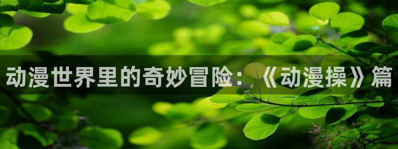 日本动漫之家：动漫世界里的奇妙冒险：《动漫操》篇