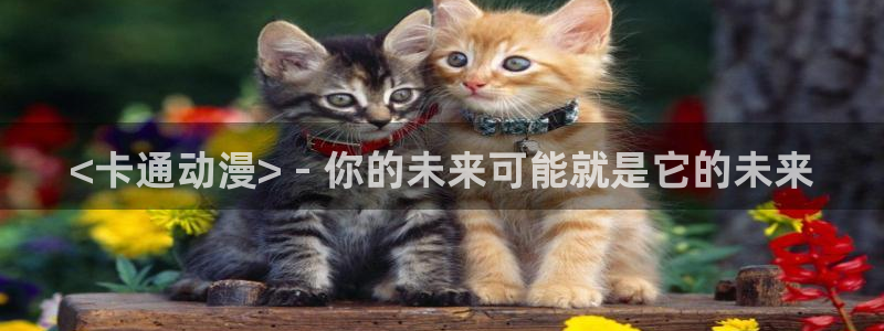 耽漫网之家动漫之家：<卡通动漫> - 你的未来可能就是它的未来