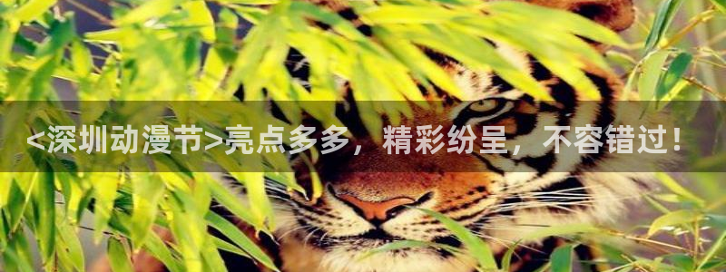 动漫之家动漫：<深圳动漫节>亮点多多，精彩纷呈，不容错过！