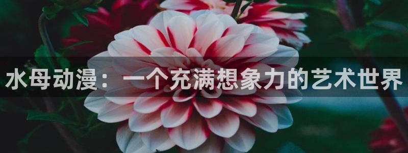 动漫之家正版官网：水母动漫：一个充满想象力的艺术世界