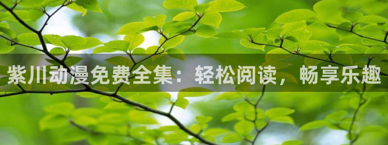 动漫之家论坛：紫川动漫免费全集：轻松阅读，畅享乐趣