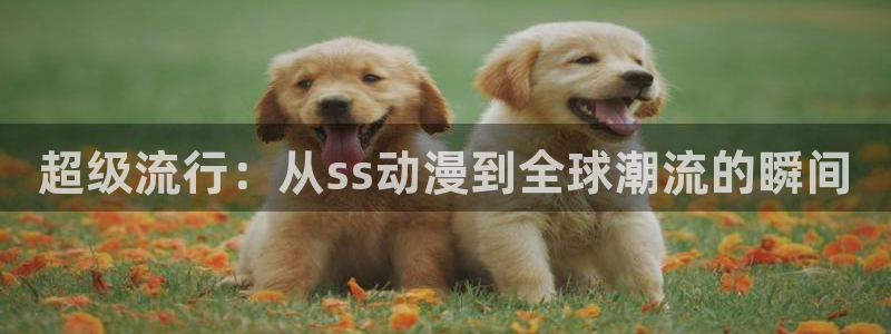 动漫之家,网站：超级流行：从ss动漫到全球潮流的瞬间