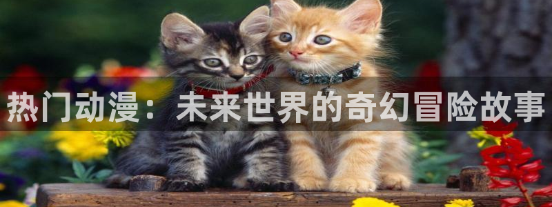 风车动漫之家官网：热门动漫：未来世界的奇幻冒险故事