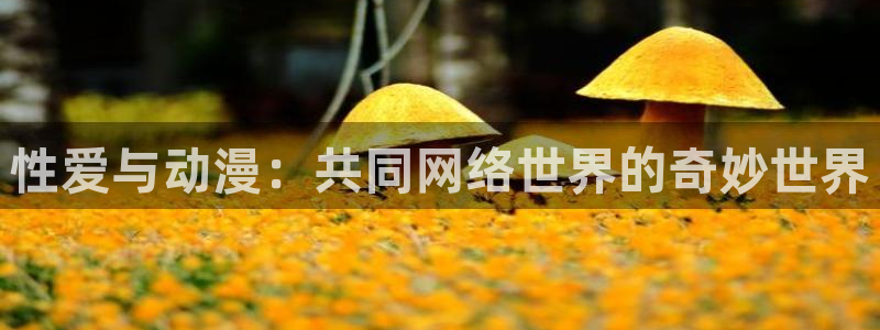 无颜之月动漫之家：性爱与动漫：共同网络世界的奇妙世界