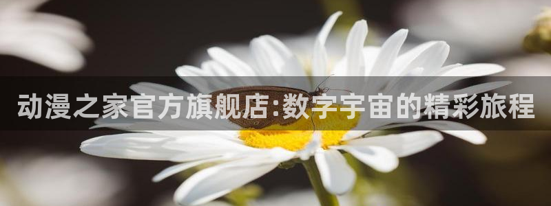 动漫之家漫画：动漫之家官方旗舰店:数字宇宙的精彩旅程