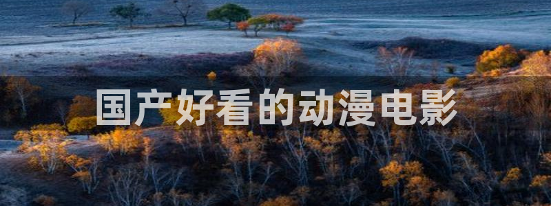 城市猎人动漫之家：国产好看的动漫电影