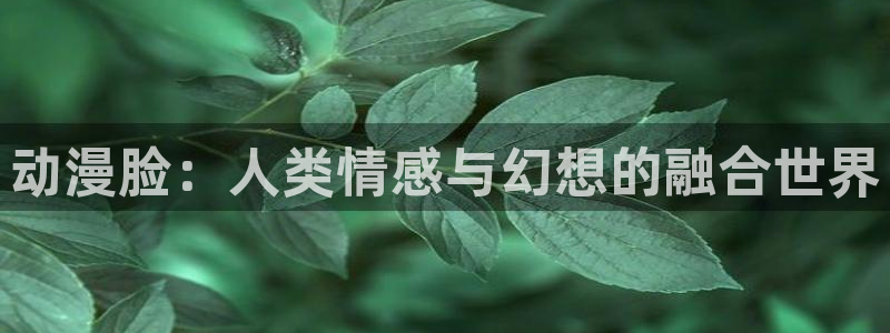 妖精动漫之家：动漫脸：人类情感与幻想的融合世界
