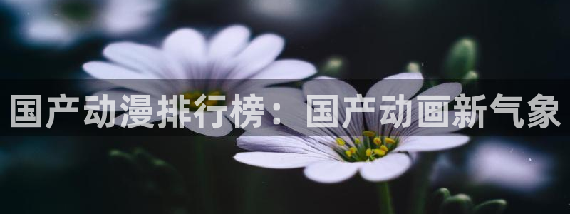 黄金树之路动漫之家：国产动漫排行榜：国产动画新气象