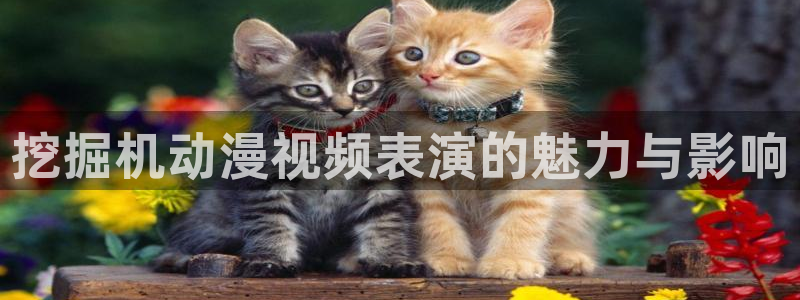 下载动漫之家：挖掘机动漫视频表演的魅力与影响