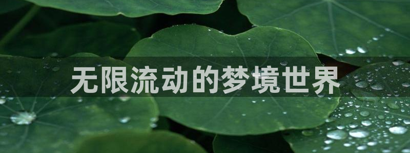 jojo第八部漫画在线动漫之家：无限流动的梦境世界
