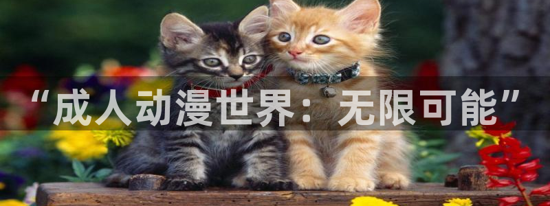 动漫之家无响应：“成人动漫世界：无限可能”