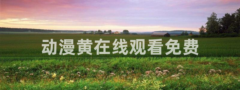 动漫之家安装不了：动漫黄在线观看免费