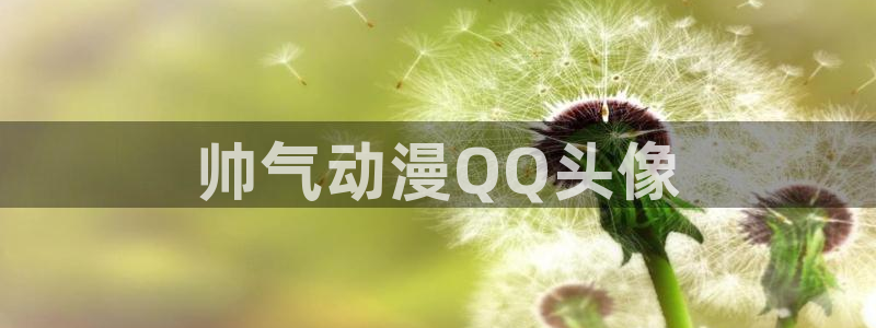 动漫之家在线下载：帅气动漫QQ头像