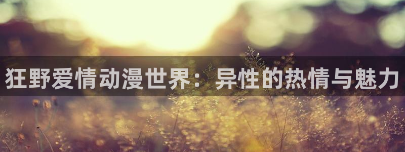动漫之家：狂野爱情动漫世界：异性的热情与魅力