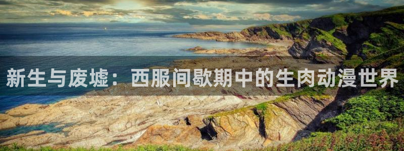 动漫之家不能看了：新生与废墟：西服间歇期中的生肉动漫世界