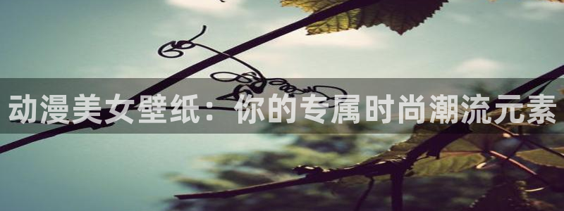 动漫之家在线