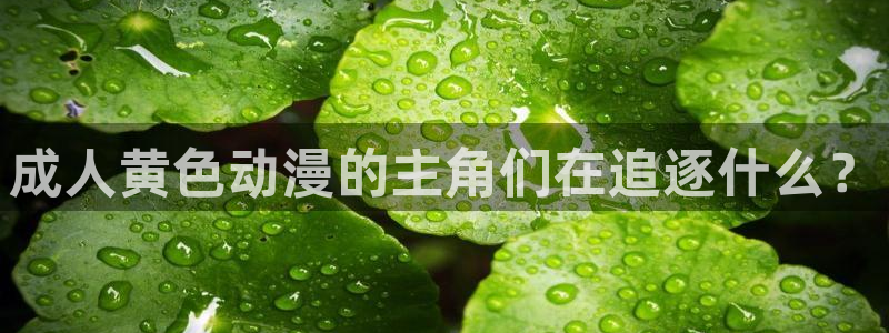 动漫之家官网下载：成人黄色动漫的主角们在追逐什么？